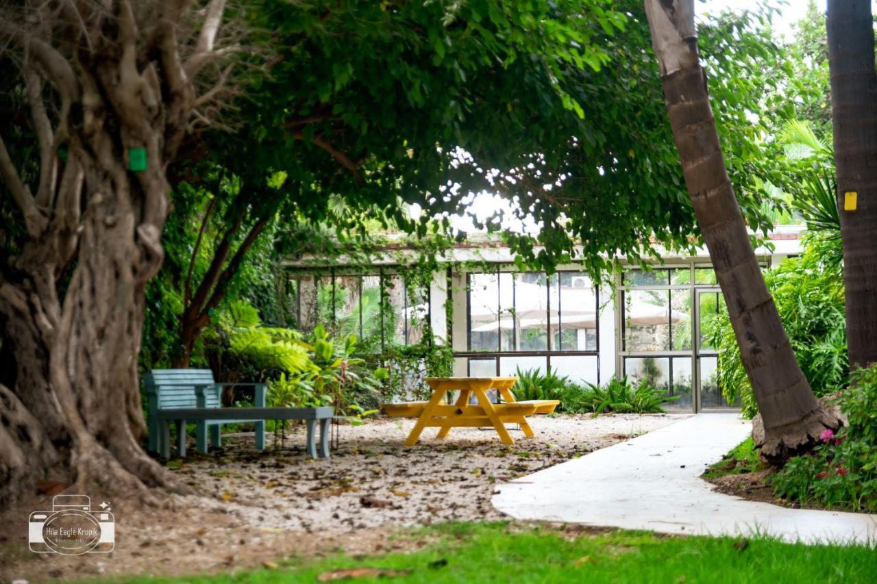 Eden Inn Zikhron Ya‘akov Luaran gambar
